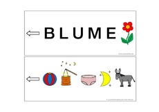 Blume.pdf